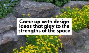 Garden design focusing on using natural elements like rocks and flowers. Let the professionals at Design Build AZ help you create a stunning and functional garden that enhances the natural strengths of your space.